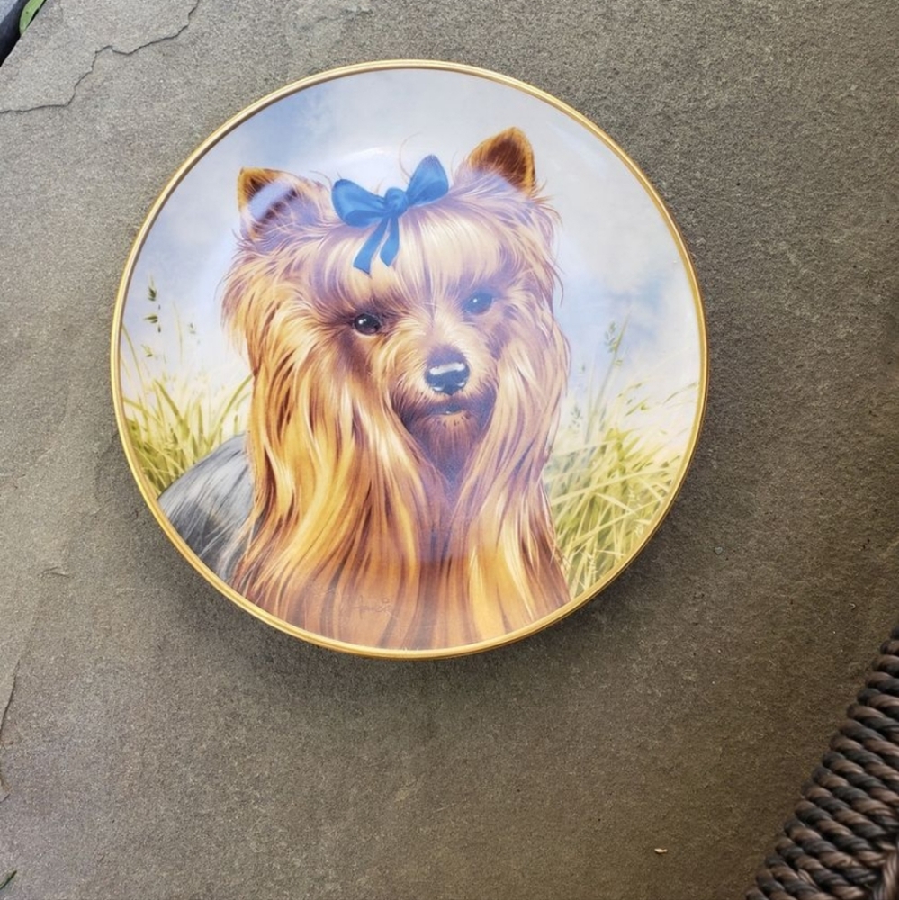 Kaiser Germany collectible plate of female Yorkie.  Perfect condition 7 3/4"